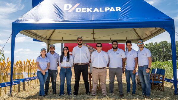 Dekalpar posiciona los híbridos Dekalb para hacer frente a los desafíos de la campaña de maíz entrante