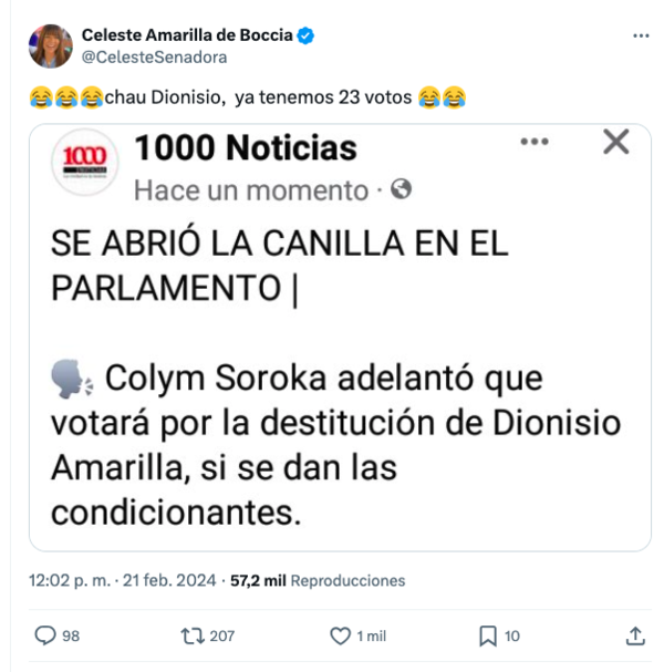 “Chau Dionisio, ya tenemos 23 votos”, afirmó Celeste Amarilla - El Trueno