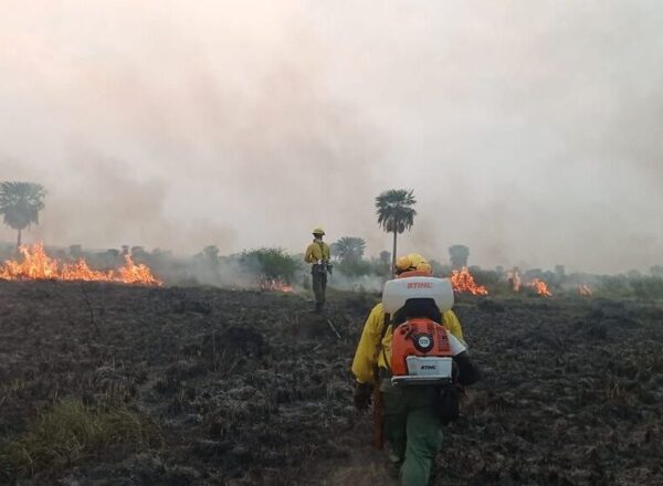 Reportan tres focos de incendios en Cordillera y Central · Radio Monumental 1080 AM