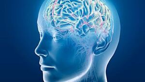 Leer el cerebro mediante colores y música es posible gracias a investigación