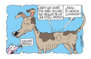 HUMOR - Humor - ABC Color
