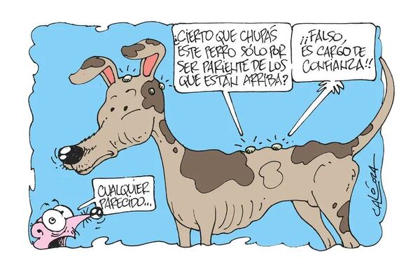 HUMOR - Humor - ABC Color