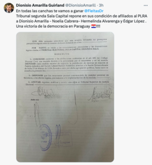 Tribunal Electoral repone a senadores liberales expulsados por el PLRA - El Trueno