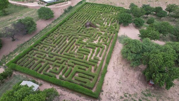 Jugando con la naturaleza: El laberinto vegetal de Filadelfia es una aventura de tan solo G. 10.000