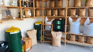 Creada por tres mujeres: Panambi Recicla procesa 11 toneladas de residuos orgánicos al mes