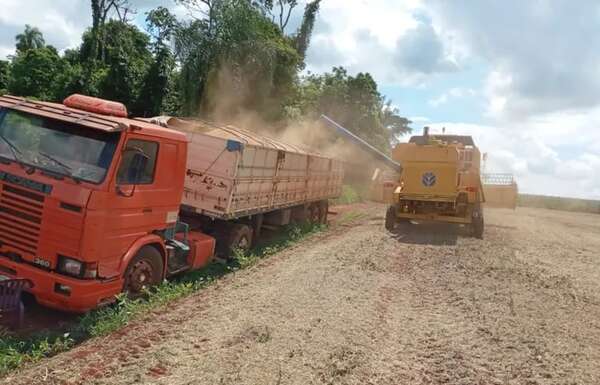 Reglamento UE será difícil aplicar en soja, sin proceso gradual, explica experto - Nacionales - ABC Color