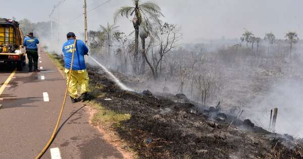 La Nación / Cordillera es el más azotado por los incendios forestales