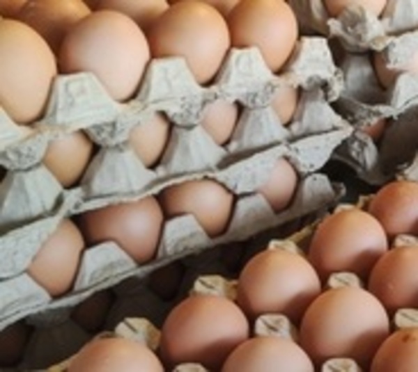 Precio de los huevos se disparan por alta demanda, explican - Paraguay.com