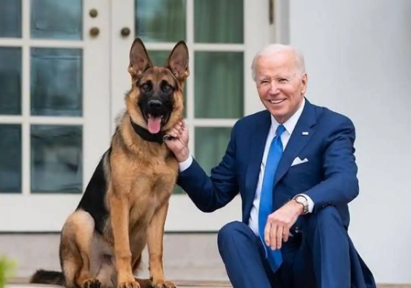 El perro de los Biden mordió a 24 agentes en su estadía en la Casa blanca