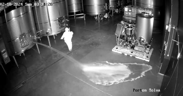La Nación / España: desperdician 60.000 litros de vino