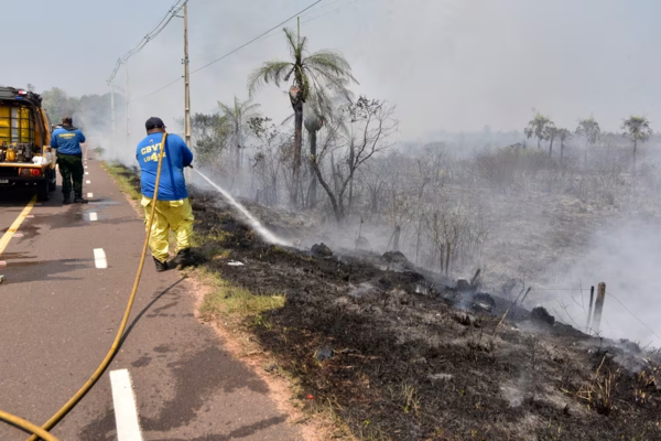 Cordillera es el más azotado por los incendios forestales