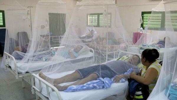 Cómo evitar que el dengue sea muy grave