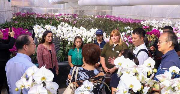 Diario HOY | Delegación taiwanesa visita floricultura: objetivo es exportar orquídeas