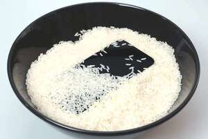 iPhone: ¿sirve el arroz para secar dispositivos mojados? - Tecnología - ABC Color