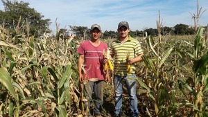 Equipo Econ贸mico delinea estrategias para mejorar la productividad del sector agr铆cola - Revista PLUS