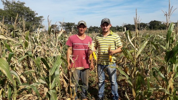 Equipo Econ贸mico delinea estrategias para mejorar la productividad del sector agr铆cola - Revista PLUS
