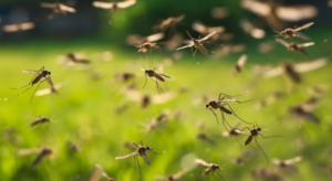 (VIDEO). Terrible invasión de mosquitos cubrió el cielo en La Plata, Argentina