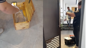 Hurtan Gs. 90 millones de una vivienda en Cambyretá