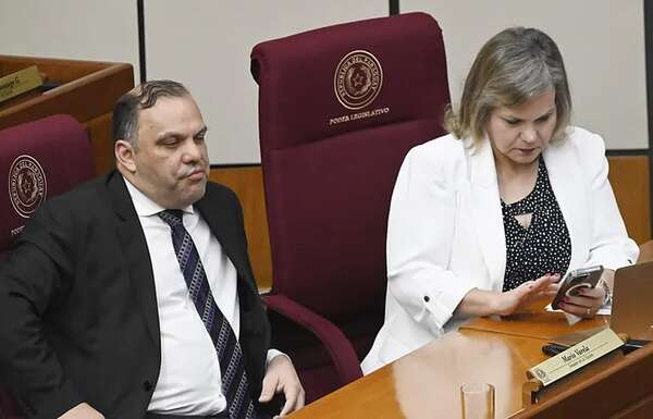 Lilian no descarta sumarse a la bancada democrática - Política - ABC Color