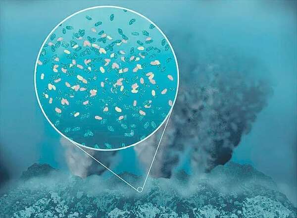 Un compuesto vital para la vida probablemente intervino en su origen - Ciencia - ABC Color