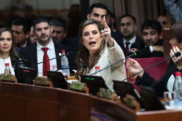 Expulsión de Kattya González: acción de inconstitucionalidad será presentada el lunes | 1000 Noticias