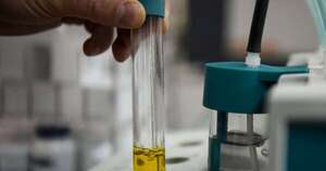 Diario HOY | Ministro de Industria garantiza medidas para impulsar la producción de biodiesel