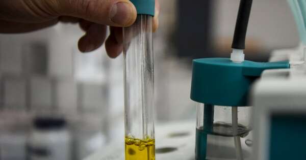 Diario HOY | Ministro de Industria garantiza medidas para impulsar la producción de biodiesel