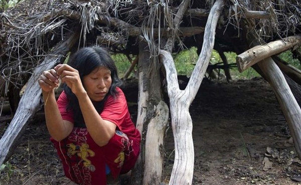 Ayoreos alertan que proyecto legislativo de fideicomiso privatizará sus tierras