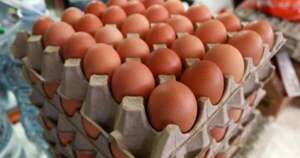 La Nación / Clima, baja producción y previa de Semana Santa inciden en aumento de precios del huevo