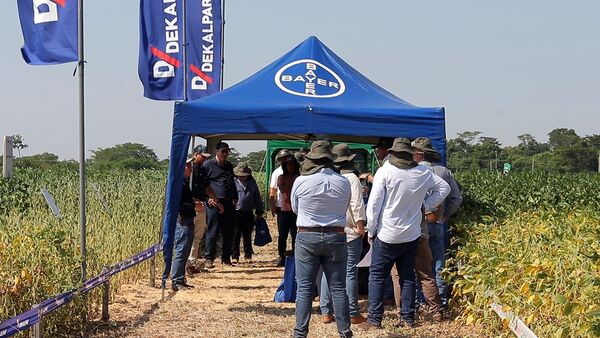 "Dekalpar apuesta por la tecnología como clave para mejorar la producción en San Pedro"