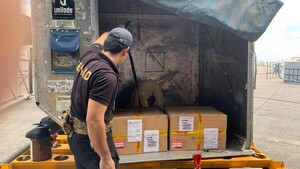 Video: Perro de la Senad detecta droga en cargamento que iba a España