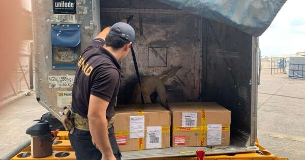 Diario HOY | Alerta aeropuerto: can antidrogas detecta importante carga de cocaína