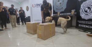 Jagua’i valé de la Senad detecta encomienda del purete en el Aeropuerto