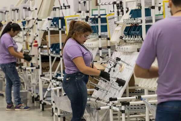 Desempleo bajó al 5,2% en el cuarto trimestre y afectó a 162.000 personas - Economía - ABC Color