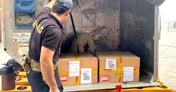 La Nación / Comisan casi 60 kg de cocaína en el Pettirossi