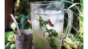 La pausa perfecta para compartir