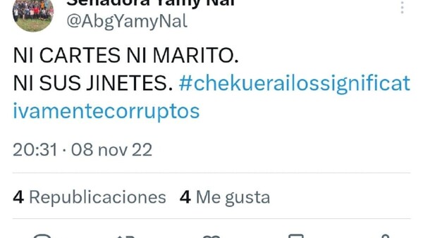 Yami Nal criticaba al cartismo y ahora como aliada pretende censurar a prensa