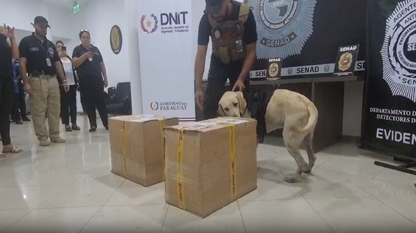 Aeropuerto: Can antidrogas detecta cargamento que iba a ser enviada a Europa - Noticias Paraguay