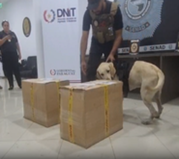 Perro antidrogas detecta cargamento que iba a ser enviada a Europa - Paraguay.com