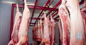 La Nación / Esperan inicio de faena en fábrica de embutidos para evitar más sobrecostos en granjas