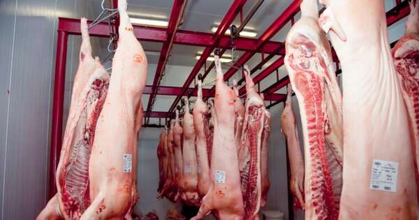 La Nación / Esperan inicio de faena en fábrica de embutidos para evitar más sobrecostos en granjas