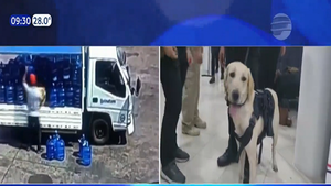 Así introdujeron droga al aeropuerto mediante un camión distribuidor de agua - Noticias Paraguay