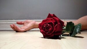 Alarmante: 244 víctimas de feminicidio en los últimos seis años