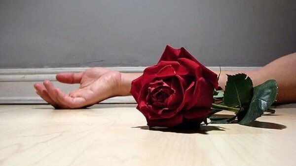 Alarmante: 244 víctimas de feminicidio en los últimos seis años - Radio Imperio 106.7 FM