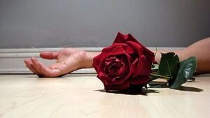 Alarmante: 244 víctimas de feminicidio en los últimos seis años
