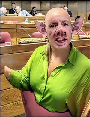 Parodia de reportera que comparó a senadora con un cerdo es calificada como “violencia contra la mujer” por Ley N° 5777 – La Mira Digital
