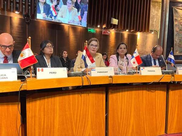 Gobierno pedirá al Senado acuerdo para 16 embajadores - Política - ABC Color