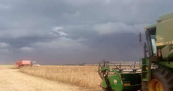 Cadena sojera inicia el año con el pie derecho, gran crecimiento de envíos - Nacionales - ABC Color