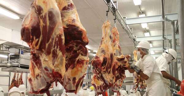Diario HOY | Arabia comprará carne de siete frigoríficos paraguayos