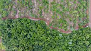 "Climate change requires rigorous measures, but at the same time fair," asserts Peña - .::Agencia IP::.